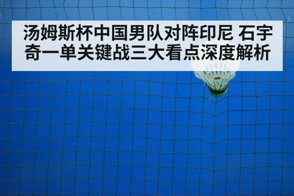 badminton net shot