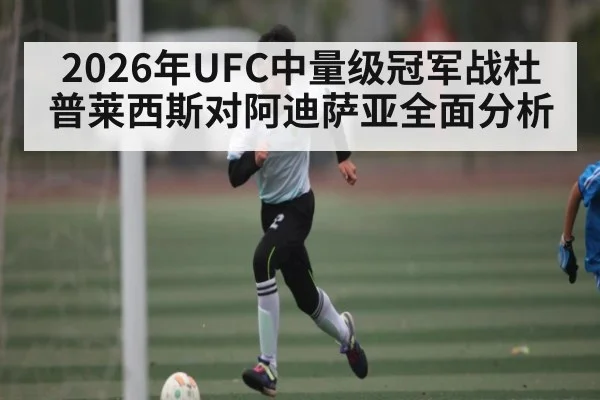 2026年UFC中量级冠军战杜普莱西斯对阿迪萨亚全面分析